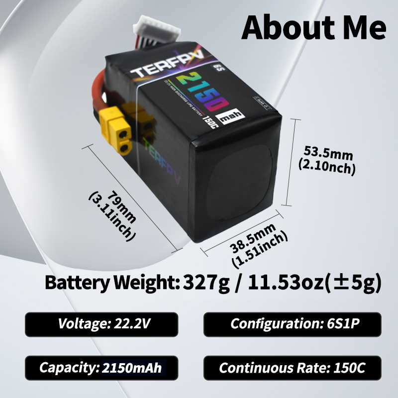 TERFPV Lipo Battery 6S 22.2V 1 - Drone Battery Plate ulasan dan harga