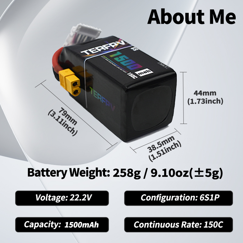 TERFPV Lipo Battery 6S 22.2V 1 - Drone Battery Plate ulasan dan harga